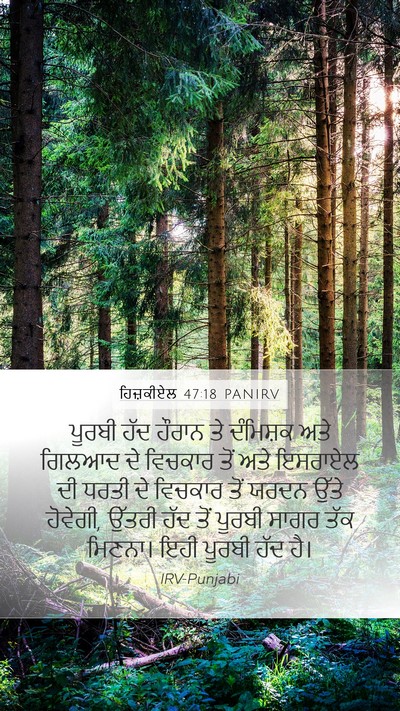 ਹਿਜ਼ਕੀਏਲ 47:18 PANIRV Bible Verse Image