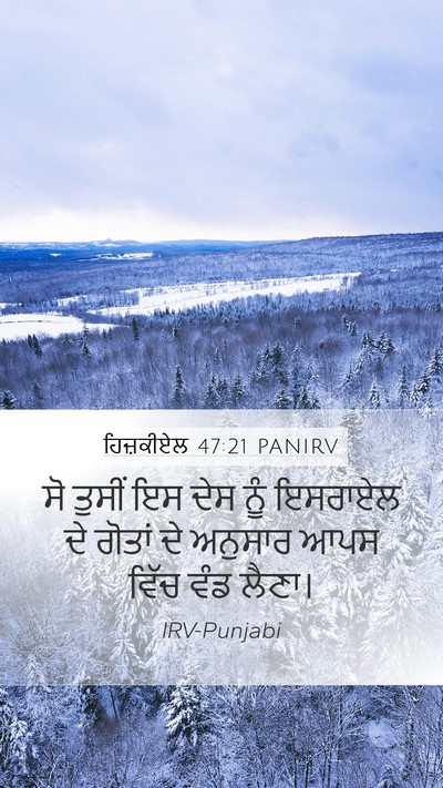 ਹਿਜ਼ਕੀਏਲ 47:21 PANIRV Bible Verse Image