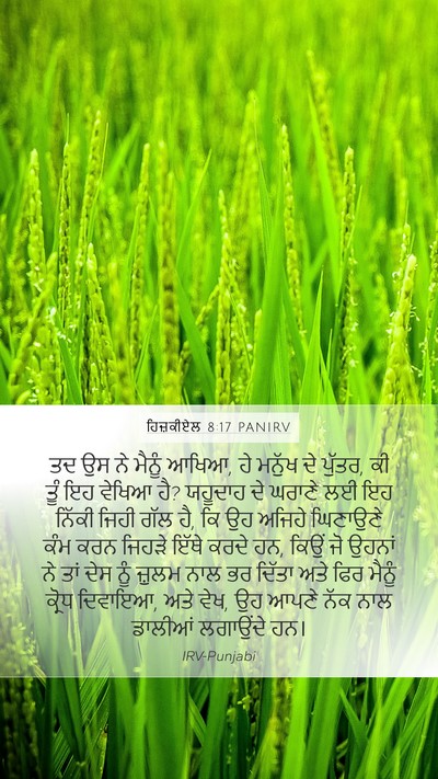 ਹਿਜ਼ਕੀਏਲ 8:17 PANIRV Bible Verse Image