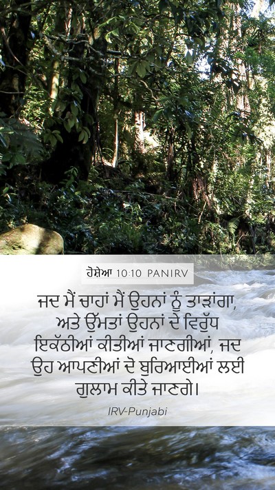 ਹੋਸ਼ੇਆ 10:10 PANIRV Mobile Phone Wallpaper - ਜਦ ਮੈਂ ਚਾਹਾਂ ਮੈਂ - Mobile Bible Verse Wallpaper