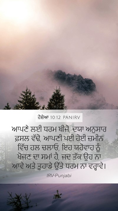 ਹੋਸ਼ੇਆ 10:12 PANIRV Bible Verse Image