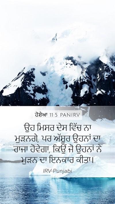 ਹੋਸ਼ੇਆ 11:5 PANIRV Bible Verse Image