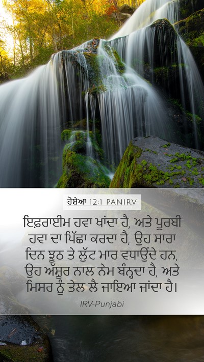 ਹੋਸ਼ੇਆ 12:1 PANIRV Bible Verse Image