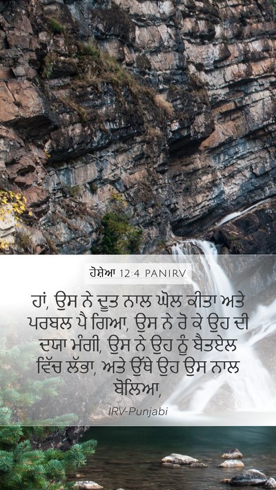 ਹੋਸ਼ੇਆ 12:4 PANIRV Bible Verse Image