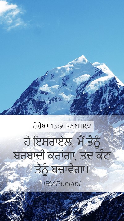 ਹੋਸ਼ੇਆ 13:9 PANIRV Bible Verse Image