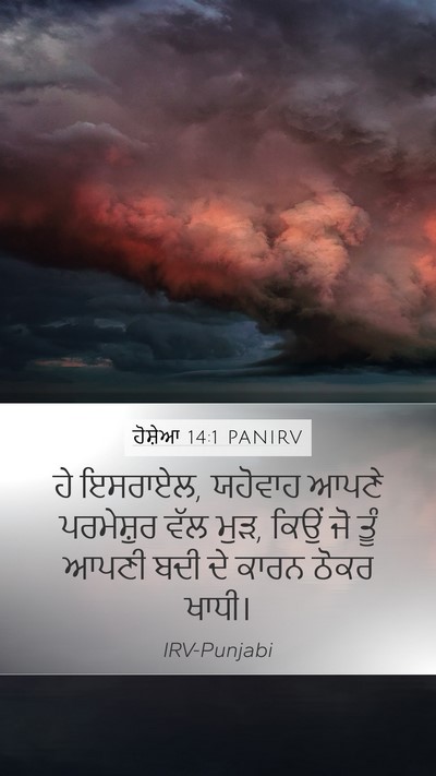 ਹੋਸ਼ੇਆ 14:1 PANIRV Bible Verse Image