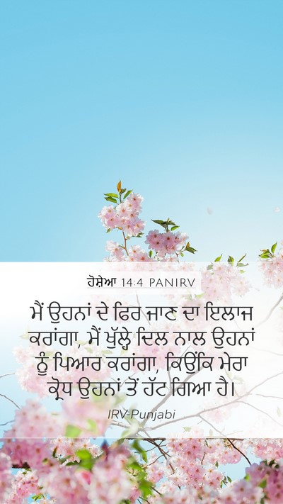 ਹੋਸ਼ੇਆ 14:4 PANIRV Bible Verse Image