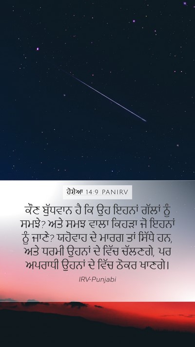 ਹੋਸ਼ੇਆ 14:9 PANIRV Bible Verse Image