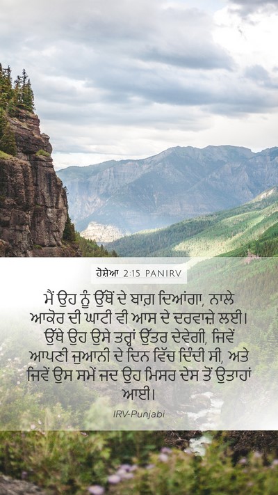 ਹੋਸ਼ੇਆ 2:15 PANIRV Bible Verse Image