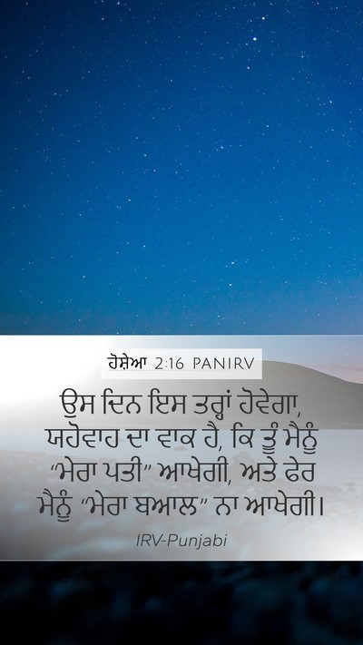 ਹੋਸ਼ੇਆ 2:16 PANIRV Bible Verse Image