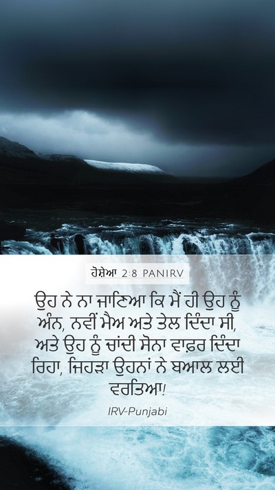 ਹੋਸ਼ੇਆ 2:8 PANIRV Bible Verse Image