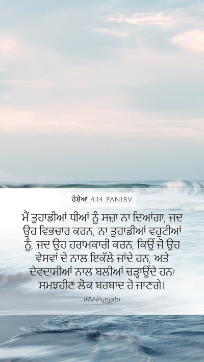 ਹੋਸ਼ੇਆ 4:14 PANIRV Bible Verse Image