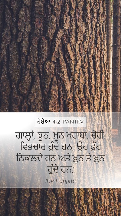ਹੋਸ਼ੇਆ 4:2 PANIRV Bible Verse Image