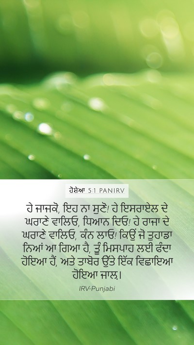ਹੋਸ਼ੇਆ 5:1 PANIRV Bible Verse Image