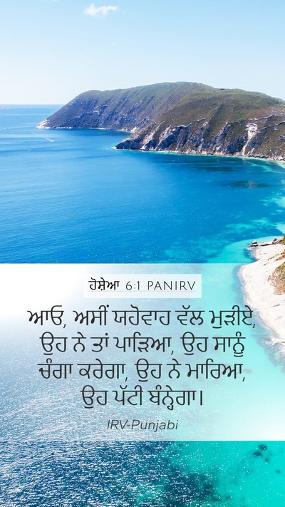 ਹੋਸ਼ੇਆ 6:1 PANIRV Bible Verse Image
