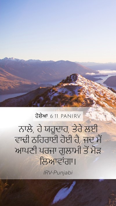 ਹੋਸ਼ੇਆ 6:11 PANIRV Bible Verse Image