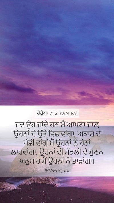 ਹੋਸ਼ੇਆ 7:12 PANIRV Bible Verse Image
