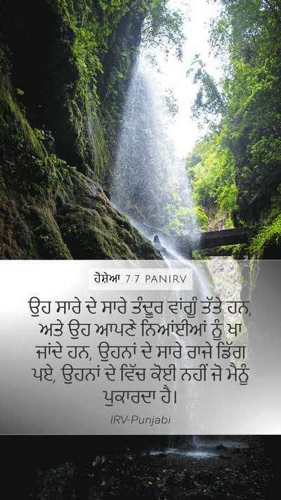 ਹੋਸ਼ੇਆ 7:7 PANIRV Mobile Phone Wallpaper - ਉਹ ਸਾਰੇ ਦੇ ਸਾਰੇ - Mobile Bible Verse Wallpaper