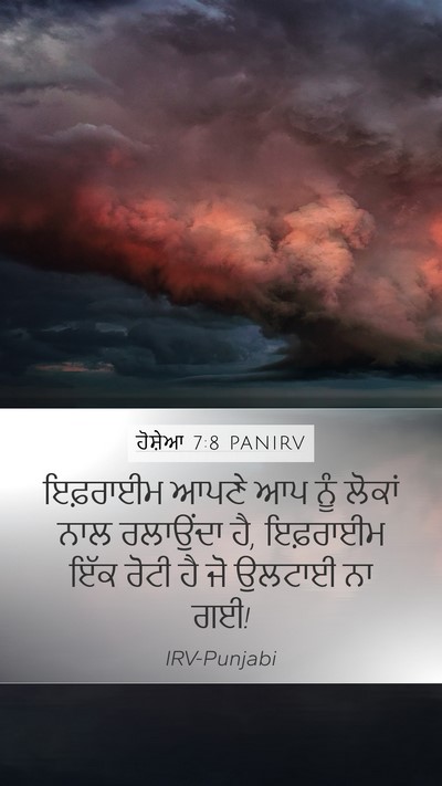 ਹੋਸ਼ੇਆ 7:8 PANIRV Bible Verse Image