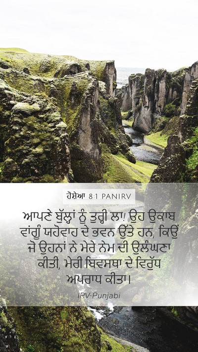 ਹੋਸ਼ੇਆ 8:1 PANIRV Bible Verse Image