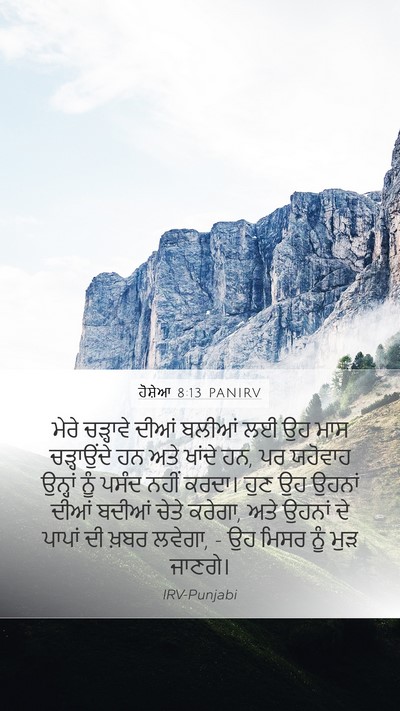 ਹੋਸ਼ੇਆ 8:13 PANIRV Bible Verse Image