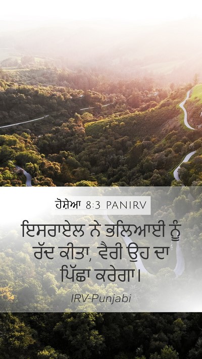 ਹੋਸ਼ੇਆ 8:3 PANIRV Mobile Phone Wallpaper - ਇਸਰਾਏਲ ਨੇ ਭਲਿਆਈ - Mobile Bible Verse Wallpaper