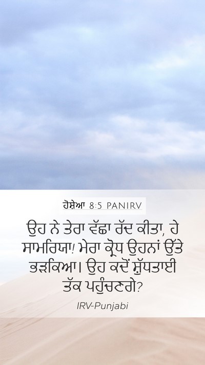 ਹੋਸ਼ੇਆ 8:5 PANIRV Mobile Phone Wallpaper - ਉਹ ਨੇ ਤੇਰਾ ਵੱਛਾ ਰੱਦ - Mobile Bible Verse Wallpaper