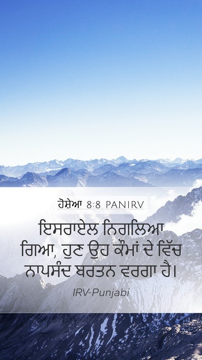 ਹੋਸ਼ੇਆ 8:8 PANIRV Bible Verse Image