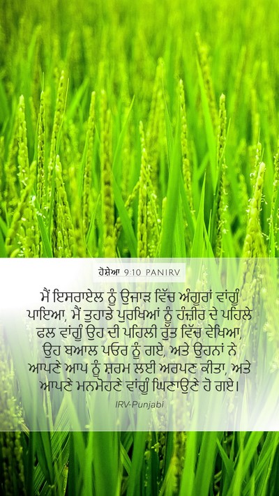 ਹੋਸ਼ੇਆ 9:10 PANIRV Bible Verse Image