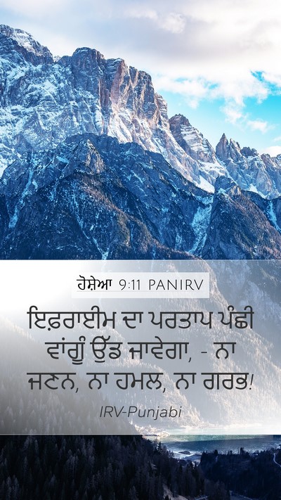 ਹੋਸ਼ੇਆ 9:11 PANIRV Bible Verse Image