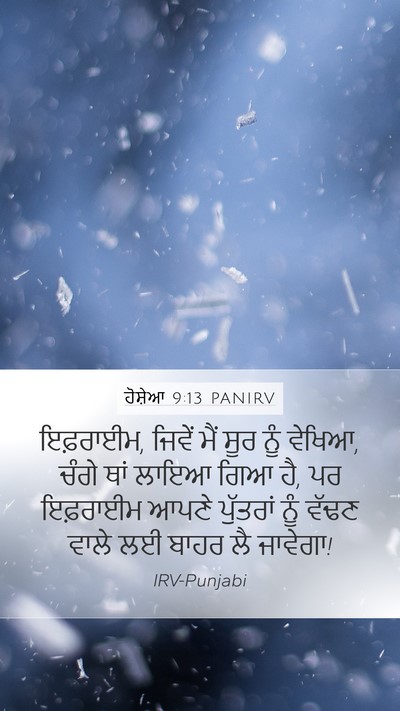 ਹੋਸ਼ੇਆ 9:13 PANIRV Mobile Phone Wallpaper - ਇਫ਼ਰਾਈਮ, ਜਿਵੇਂ ਮੈਂ - Mobile Bible Verse Wallpaper