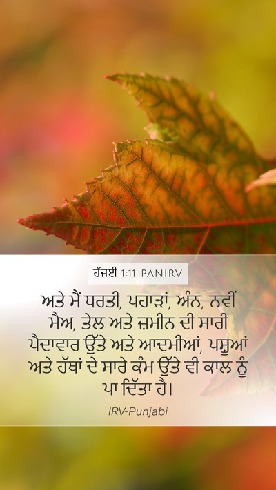 ਹੱਜਈ 1:11 PANIRV Bible Verse Image
