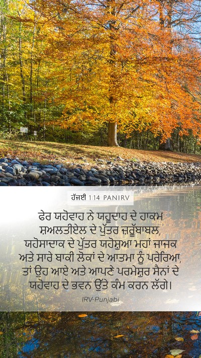 ਹੱਜਈ 1:14 PANIRV Bible Verse Image