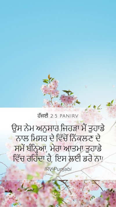 ਹੱਜਈ 2:5 PANIRV Bible Verse Image